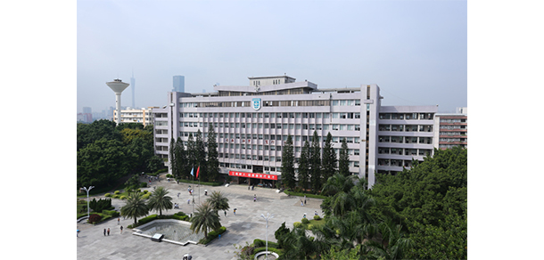 我的大学