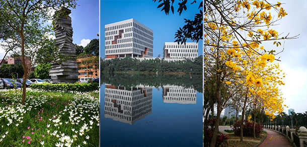 我的大學-大学志