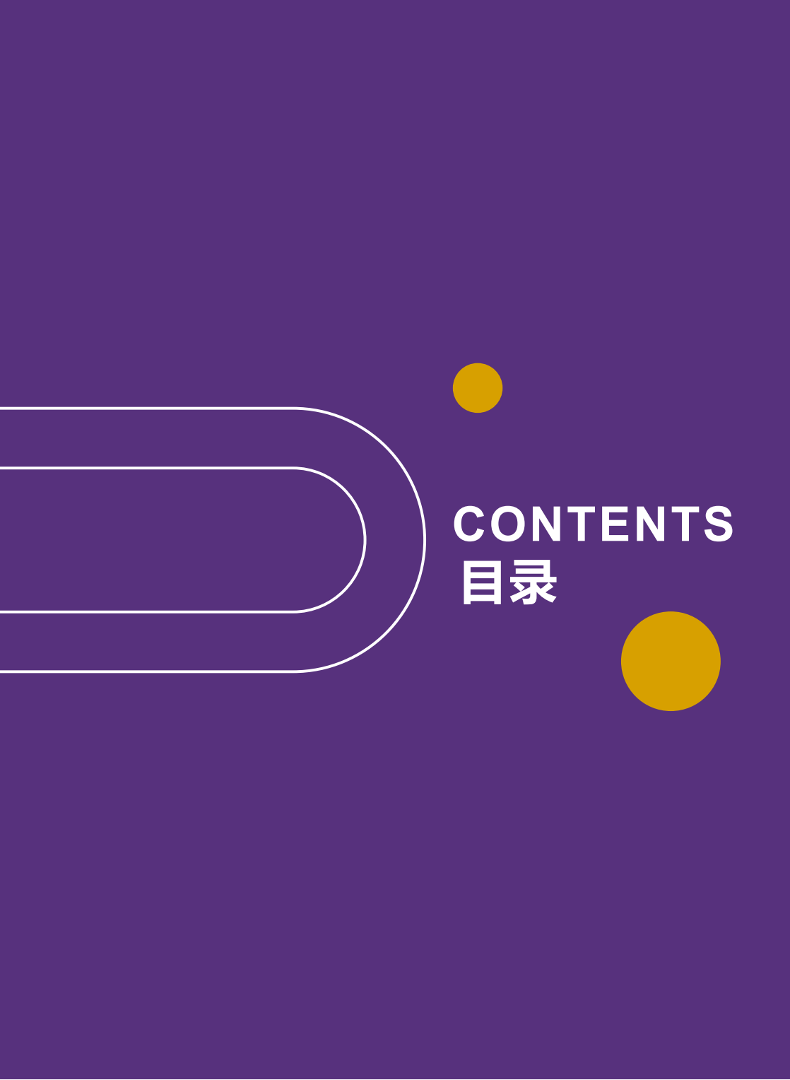 广东金融学院2023年中外联合培养双专业招生简章
