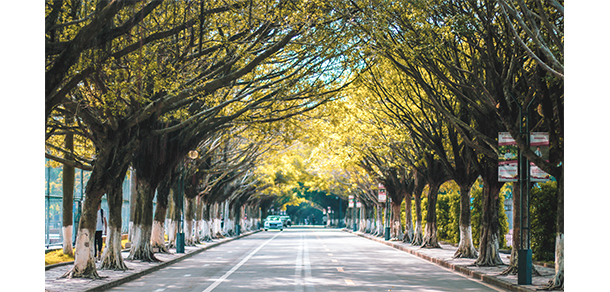 广东石油化工学院 - 最美大学