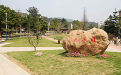 广东外语外贸大学 - 我的大学