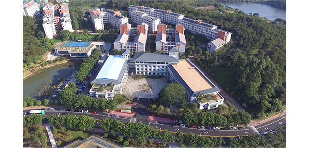 我的大学
