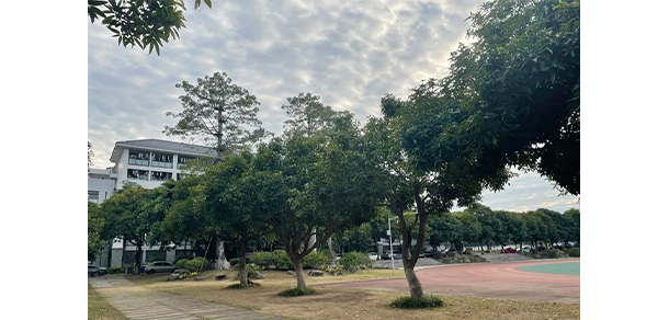 广东外语外贸大学南国商学院 - 最美大学