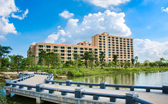 湛江科技学院 - 我的大学