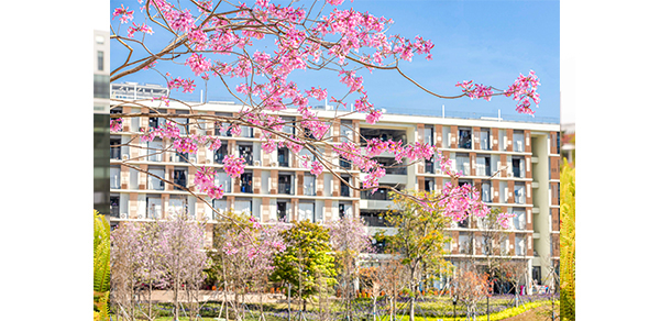 「 白驹过隙、风檐刻烛,青春正当时,少年当自强 」 中國最美大學