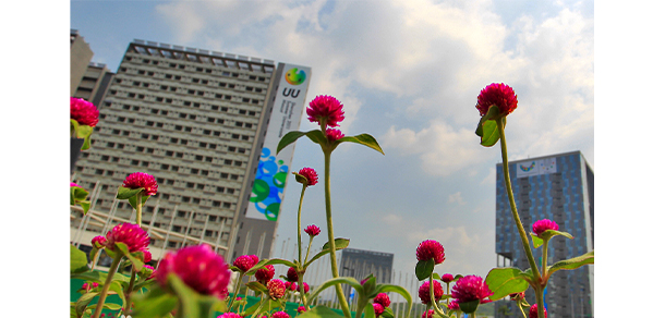 深圳信息职业技术大学 - 最美大学