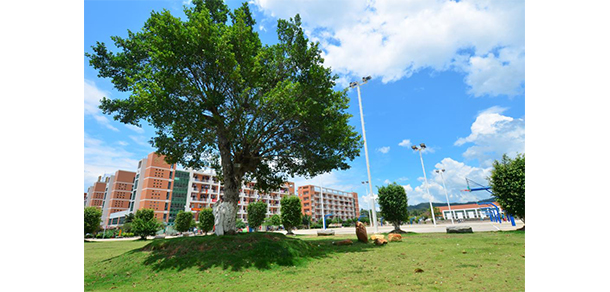 河源职业技术学院 - 最美大学