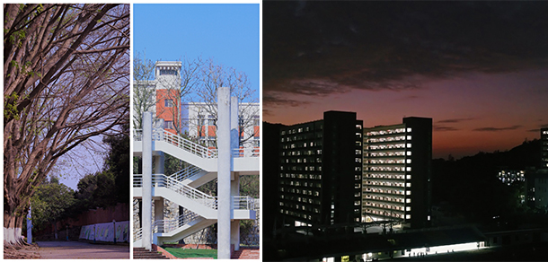 汕头职业技术学院 - 最美大学