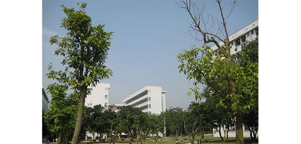 揭阳职业技术学院 - 最美大学