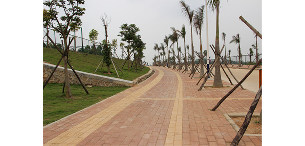 我的大學-大学志