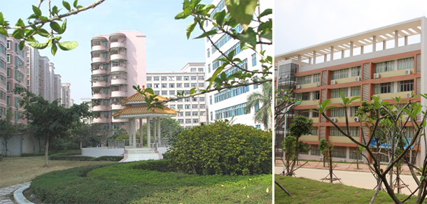 茂名职业技术学院-我的大學，我的流金歲月