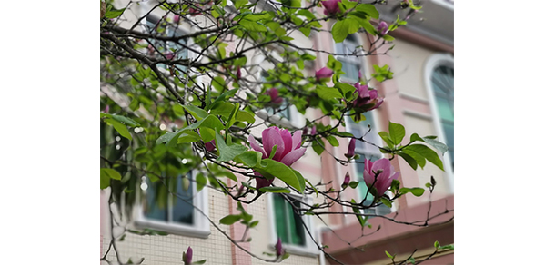 广州涉外经济职业技术学院 - 最美大学