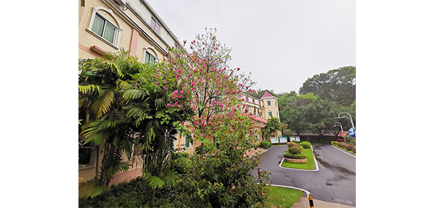 广州涉外经济职业技术学院 - 最美大学