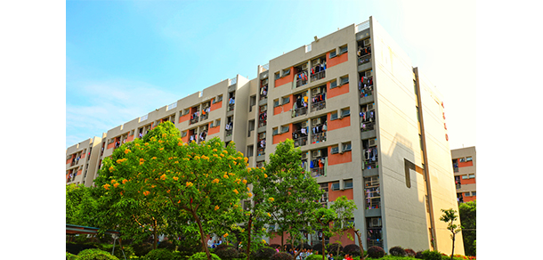 广州现代信息工程职业技术学院 - 最美大学