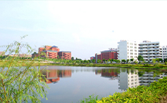 广州华立科技职业学院 - 我的大学