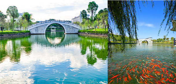 广东创新科技职业学院 - 最美大学