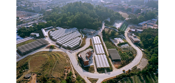 广东生态工程职业学院-我的大學，我的流金歲月