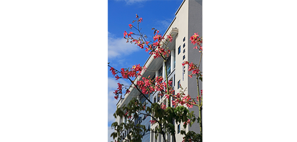 惠州城市职业学院 - 最美大学