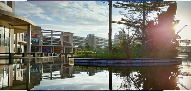 我的大學-大学志