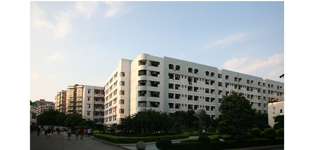 我的大學-大学志