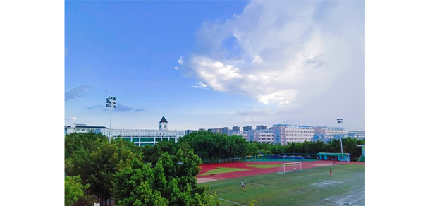 我的大学