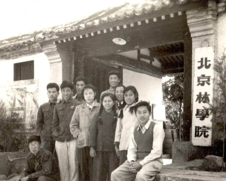 北京林学院响塘校址大门