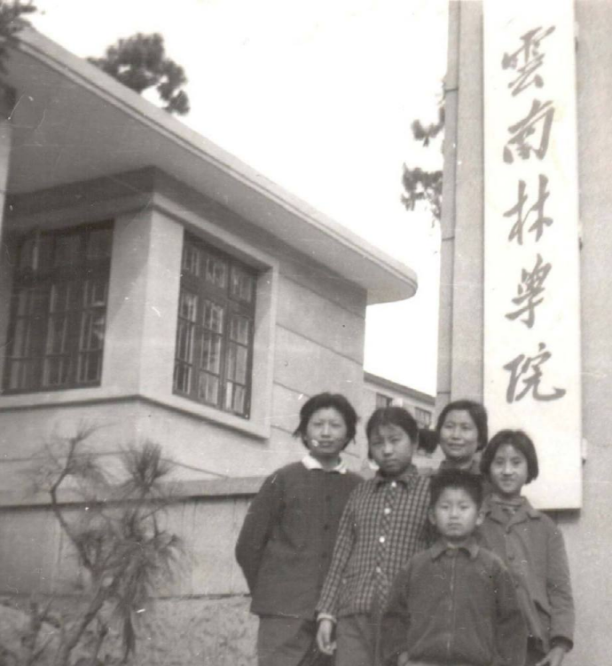 云南林学院楸木园校址大门