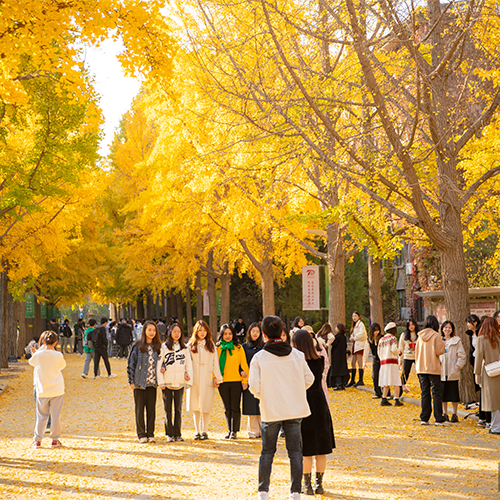 北京林业大学 - 风起四海，各自珍重