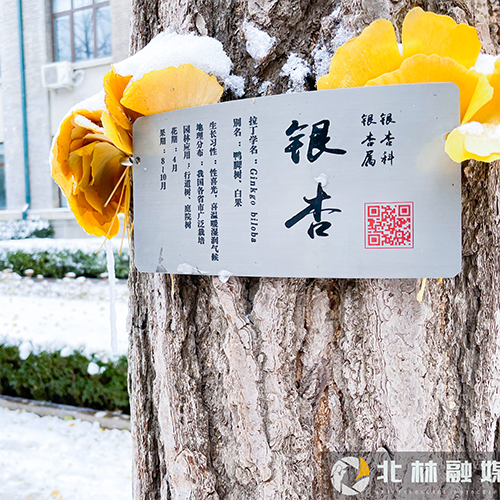 北京林业大学 - 我们的流金岁月