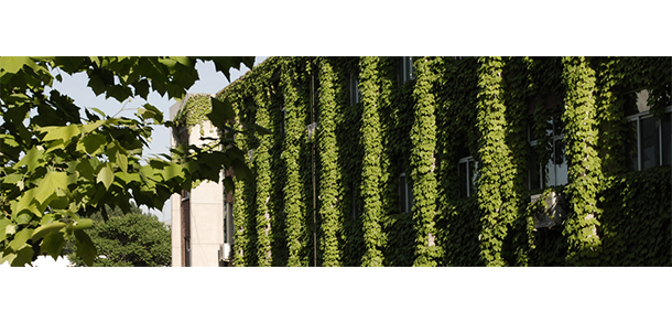 北京外国语大学 - 最美大学