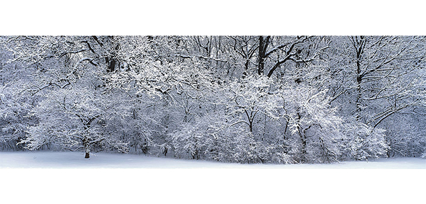 北京外国语大学 - 最美大学