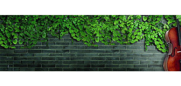 北京外国语大学 - 最美大学