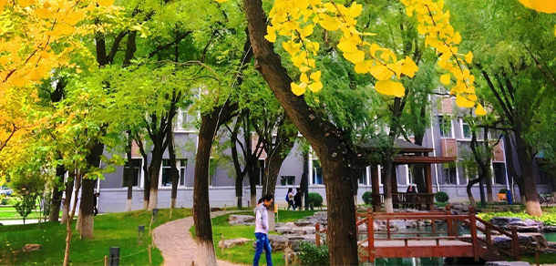 我的大學-大学志