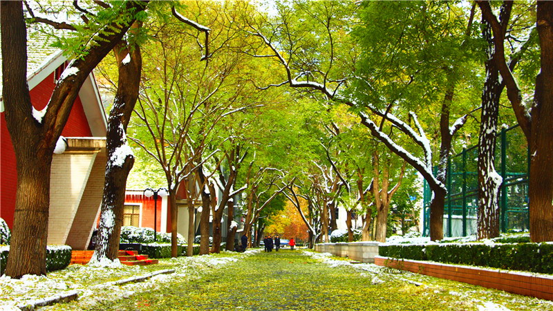 中国人民公安大学-校园风景