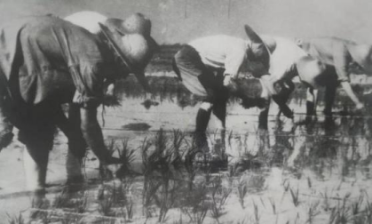  河北电力学院时期历史照片