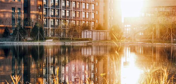 我的大學-大学志