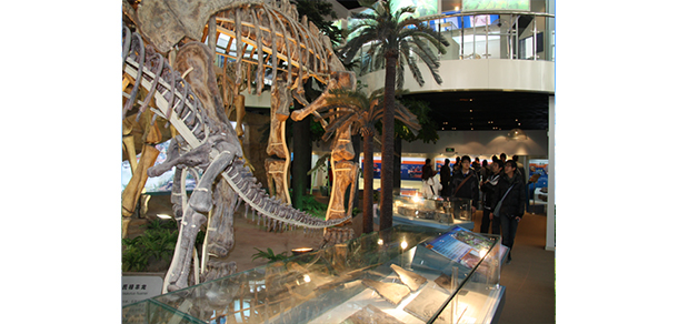 中国地质大学（北京）-我的大學，我的流金歲月