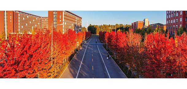 我的大學-大学志