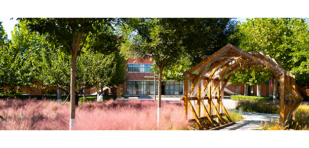 我的大學-大学志