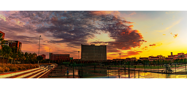 我的大學-大学志