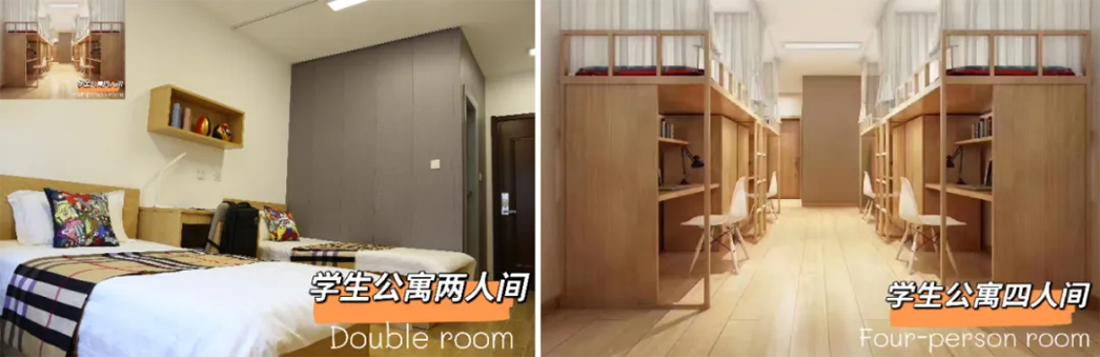 首都师范大学科德学院2025年分省分专业招生计划