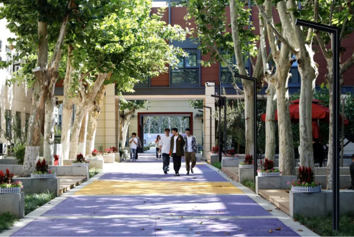 北金科十二时辰