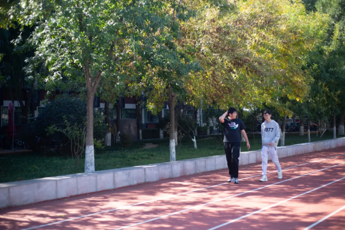 北金科十二时辰