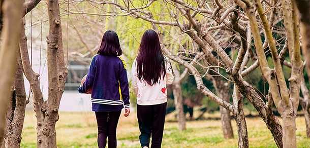 北京电子科技职业学院