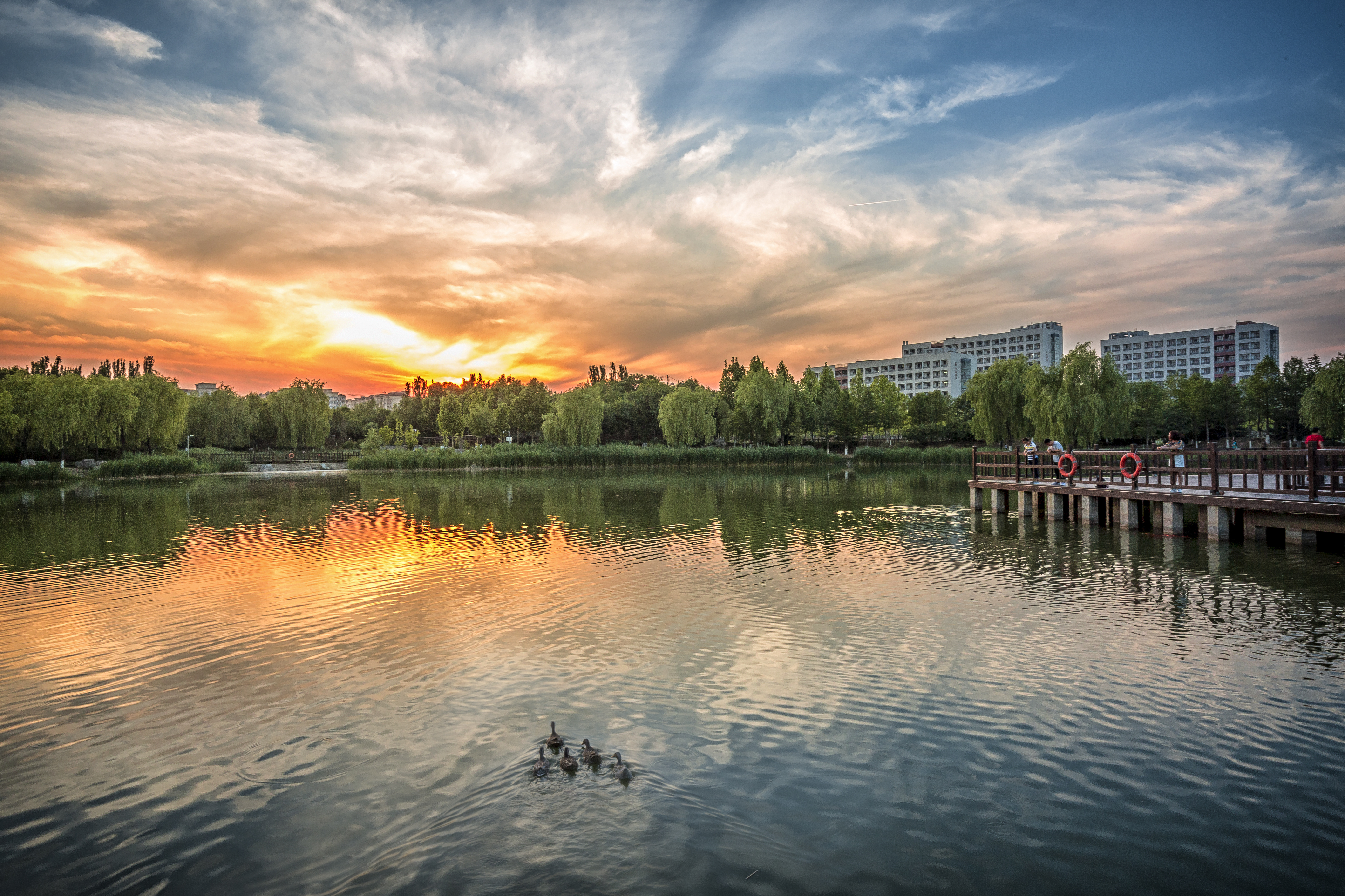 北京理工大学-校园风景