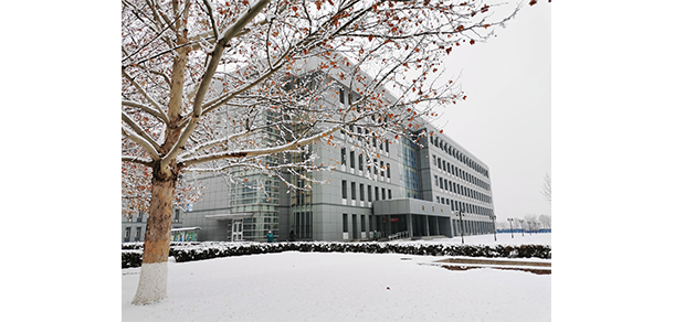 我的大學-大学志