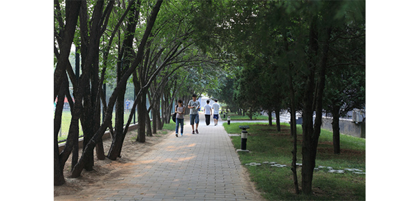 北京青年政治学院 - 最美大学