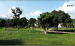 玉林师范学院 - 我的大学