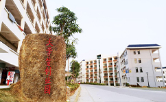 文化标识：校名题写 / 校徽设计