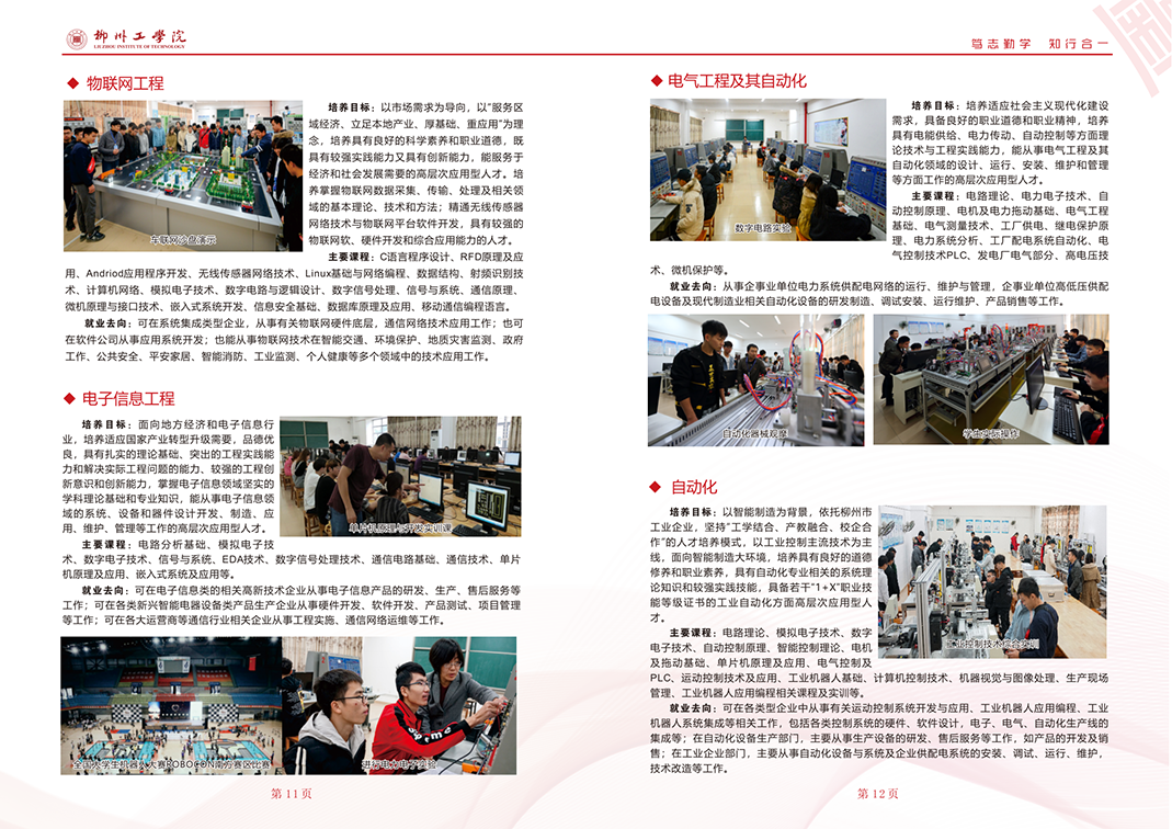 2023招生简章画册曲线